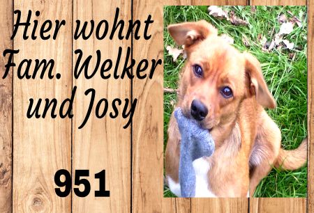 Hier wohnt Josy Hunde Schild spannend kreativ spritzig informativ auffallend schilder selbst gestalten