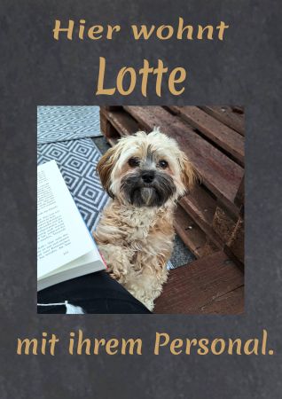 Hier wohnt Lotte Hunde Schild smart spannend spritzig auffallend schilder selbst gestalten