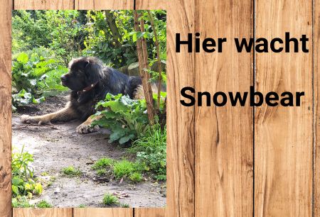Hier wohnt Snowbear Hunde Schild bunt informativ auffallend schilder selbst gestalten