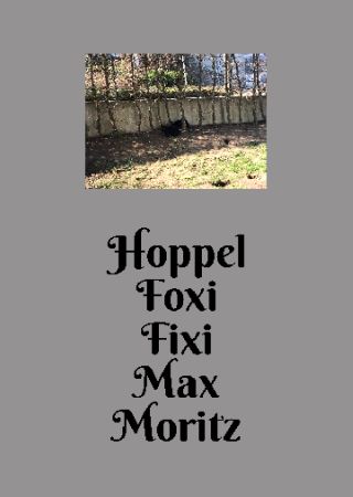 Hoppel Foxi Fixi Max Moritz Tiere Schild smart kreativ spritzig schilder selbst gestalten