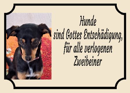 Hunde sind Gottes Entschädigung ... Hunde Schild smart kreativ spritzig schilder selbst gestalten