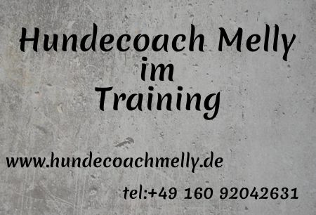 Hundecoach Melly im Training Hinweis Schild kreativ informativ auffallend schilder selbst gestalten