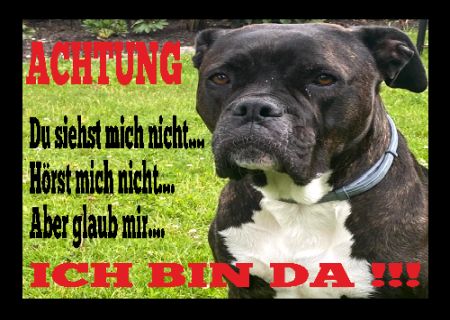 ICH BIN DA !!!!! Hunde Schild spannend bunt kreativ informativ auffallend nachdrücklich schilder selbst gestalten