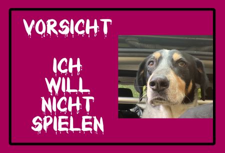 Ich will nicht spielen Hunde Schild smart spritzig auffallend nachdrücklich schilder selbst gestalten