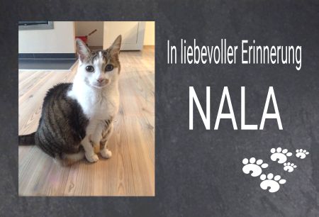 In liebevoller Erinnerung NALA Gedenktafel Schild kreativ informativ auffallend nachdrücklich schilder selbst gestalten