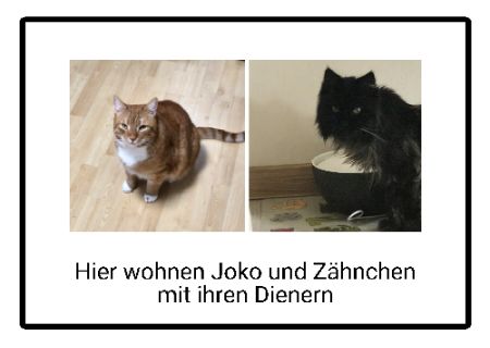 Joko und Z&auml;hnchen Katzen Schild informativ auffallend schilder selbst gestalten