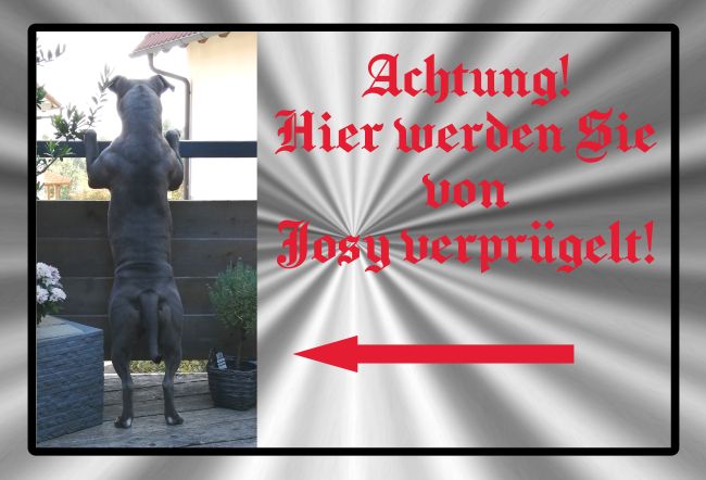 Josy Hunde Schild informativ auffallend nachdrücklich schilder selbst gestalten