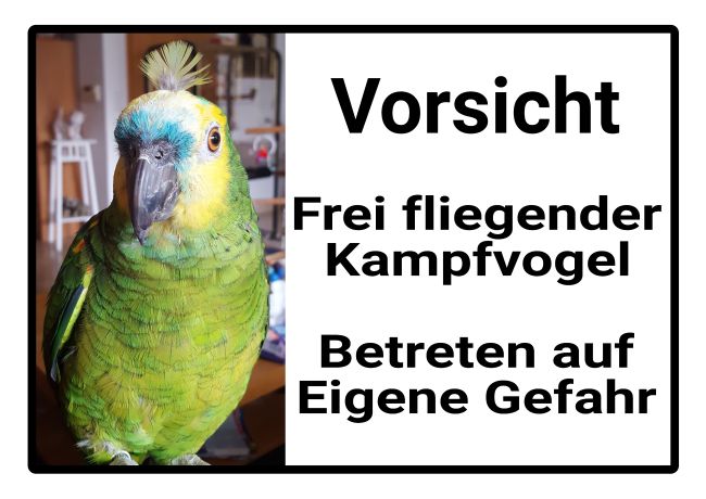 Kampfvogel Tiere Schild spannend bunt auffallend schilder selbst gestalten