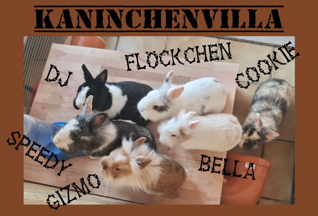 Kaninchenvilla Tiere Schild smart kreativ spritzig informativ schilder selbst gestalten