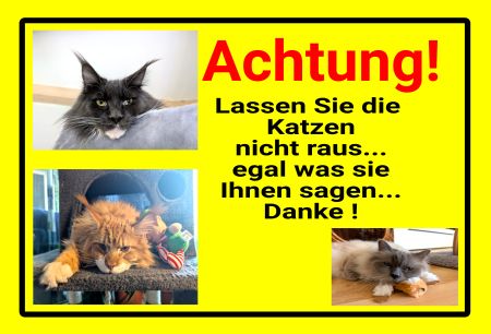 Katzen nicht raus lassen Katzen Schild spannend kreativ informativ auffallend schilder selbst gestalten