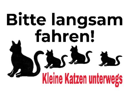 Kleine Katzen unterwegs Katzen Schild spannend kreativ spritzig informativ auffallend schilder selbst gestalten