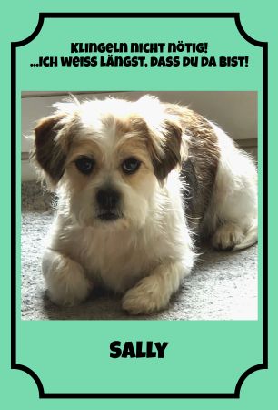 Klingeln nicht nötig! Hunde Schild spannend kreativ spritzig schilder selbst gestalten