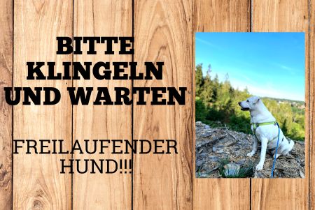 KLINGELN UND WARTEN Hunde Schild kreativ informativ auffallend schilder selbst gestalten