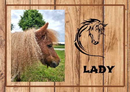 Lady Pferde Schild smart kreativ schilder selbst gestalten