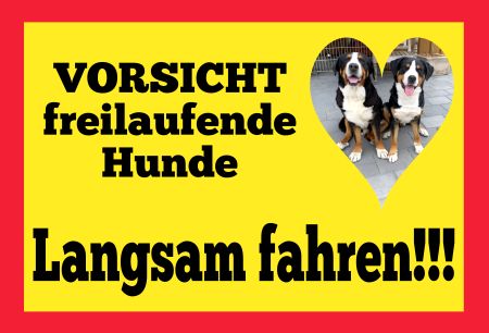 Langsam fahren - Hunde Hunde Schild bunt kreativ informativ auffallend schilder selbst gestalten
