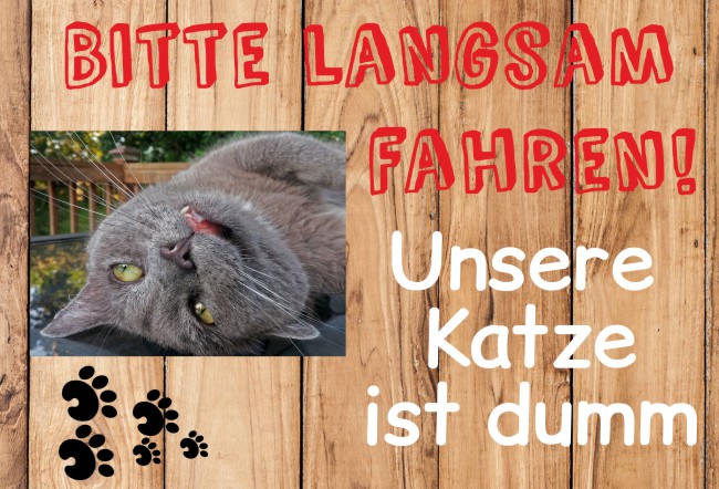 Langsam fahren!! Katzen Schild smart kreativ informativ schilder selbst gestalten