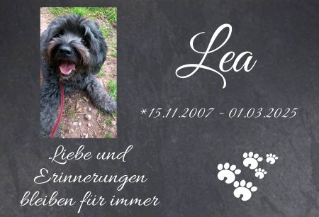 Lea Gedenktafel Schild kreativ nachdrücklich schilder selbst gestalten