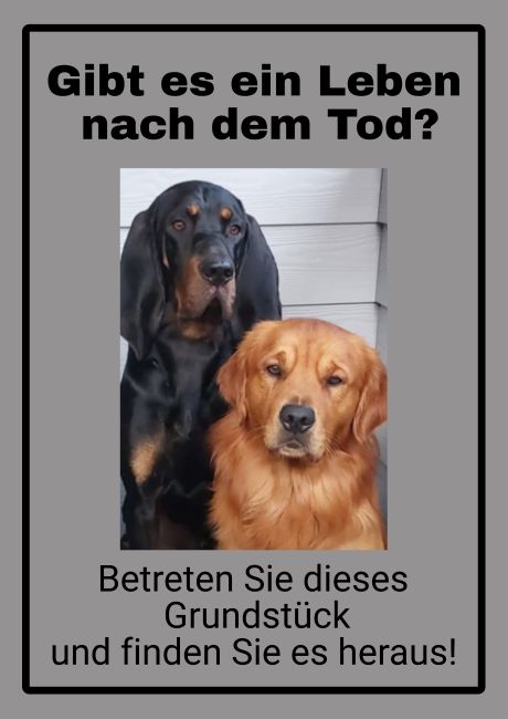 Leben nach dem Tod? Hunde Schild smart kreativ spritzig informativ schilder selbst gestalten