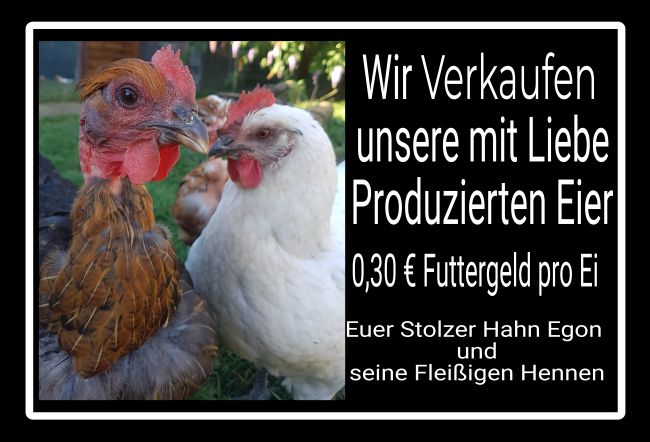 Liebe Eier Hinweis Schild smart informativ auffallend schilder selbst gestalten