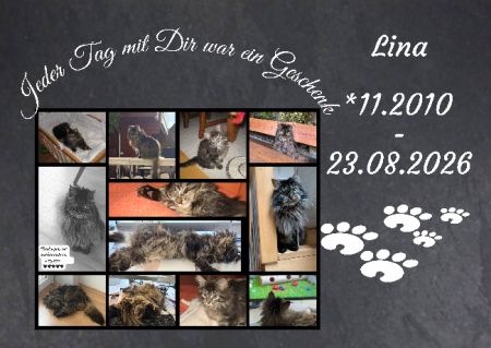 Lina Gedenktafel Schild auffallend nachdrücklich schilder selbst gestalten