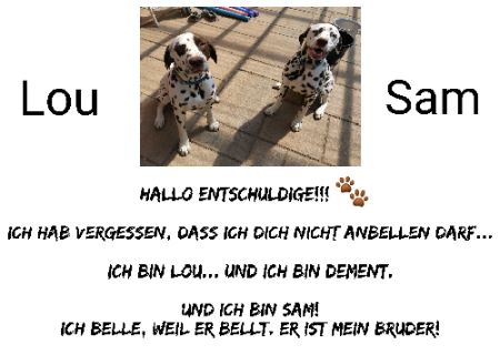 LOU & SAM Hunde Schild schilder selbst gestalten