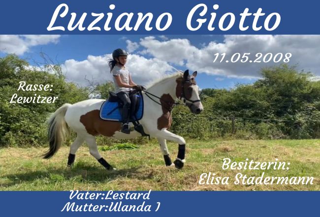Luziano Giotte Pferde Schild smart bunt spritzig informativ auffallend schilder selbst gestalten