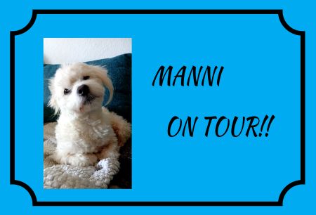 MANNI ON TOUR Hunde Schild smart kreativ spritzig schilder selbst gestalten