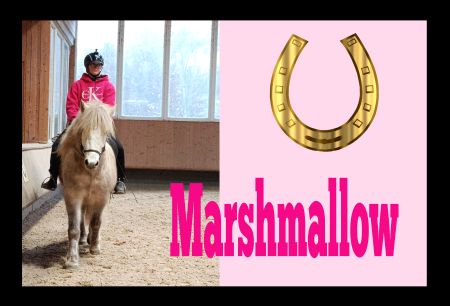 Marshmallow Pferde Schild informativ auffallend schilder selbst gestalten