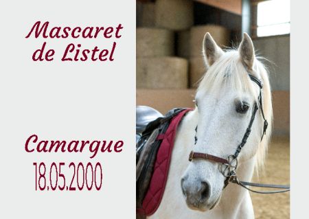 Mascaret de Listel Pferde Schild smart kreativ schilder selbst gestalten