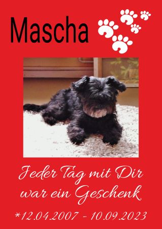 Mascha Hunde Schild smart kreativ schilder selbst gestalten