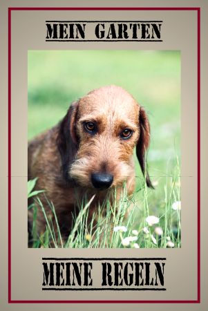 MEIN GARTEN - MEINE REGELN Hunde Schild kreativ informativ auffallend schilder selbst gestalten