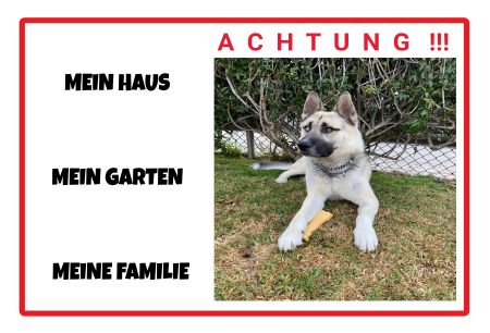 Mein Haus.... Hunde Schild smart spritzig informativ auffallend schilder selbst gestalten