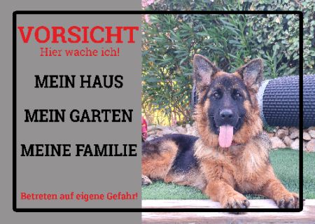 Mein Haus Mein Garten ... Hunde Schild smart spannend bunt schilder selbst gestalten