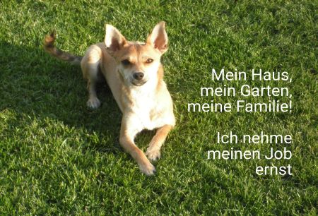 Mein Haus  mein Garten Hunde Schild smart spritzig auffallend schilder selbst gestalten