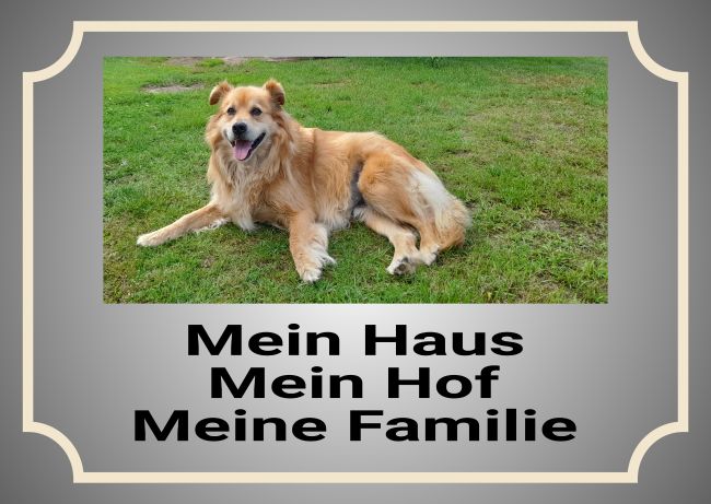 Mein Haus  Mein.... Hunde Schild spannend informativ auffallend schilder selbst gestalten