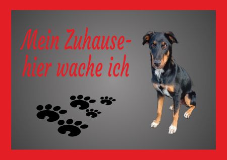 Mein Zuhause Hunde Schild smart kreativ spritzig auffallend schilder selbst gestalten