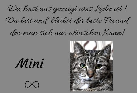 Mini Gedenktafel Schild kreativ informativ auffallend schilder selbst gestalten