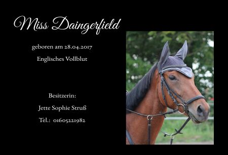 Miss Daingerfield Pferde Schild smart spannend spritzig informativ auffallend schilder selbst gestalten