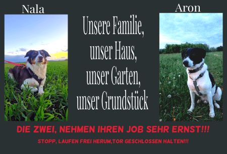 Nala & Aron Hunde Schild spannend kreativ spritzig auffallend schilder selbst gestalten