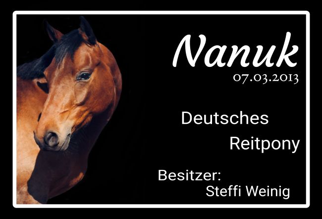 Nanuk Pferde Schild smart spritzig informativ auffallend schilder selbst gestalten