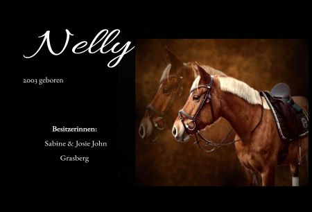 Nelly Pferde Schild spannend bunt kreativ spritzig schilder selbst gestalten