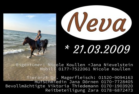 Neva Pferde Schild smart spannend spritzig schilder selbst gestalten