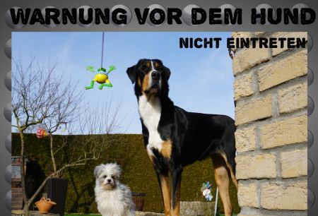 Nicht eintreten Hunde Schild smart spannend spritzig schilder selbst gestalten