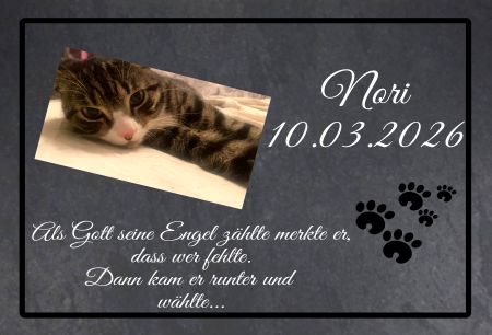 Nori Gedenktafel Schild smart nachdr&uuml;cklich schilder selbst gestalten