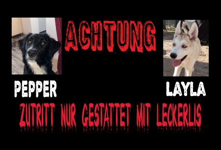 nur mit Leckerlis Hunde Schild smart spritzig lustig schilder selbst gestalten