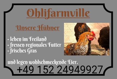 Ohlifarmville Hinweis Schild bunt kreativ informativ auffallend schilder selbst gestalten