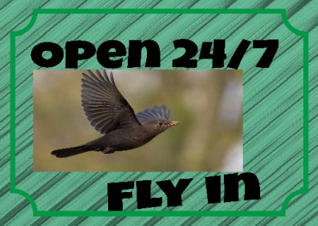 OPEN 24/7 Hinweis Schild bunt informativ auffallend schilder selbst gestalten
