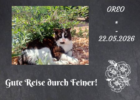Oreo Gedenktafel Schild bunt kreativ nachdrücklich schilder selbst gestalten