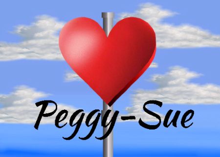 Peggy-Sue Privat-Pakete Schild smart bunt kreativ schilder selbst gestalten