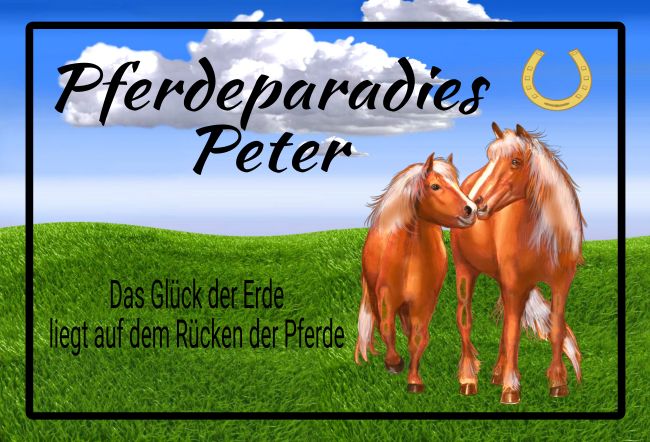 Pferdeparadies Peter Pferde Schild smart kreativ spritzig schilder selbst gestalten